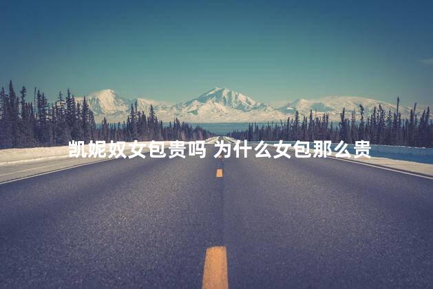 凯妮奴女包贵吗 为什么女包那么贵